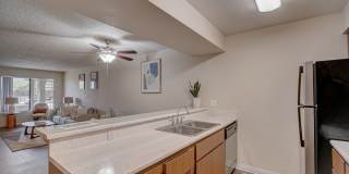 Portola North Phoenix Gallery 20