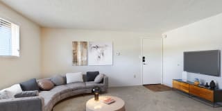 Golden Arms Gallery 11