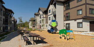 Wintergreen Ridge Gallery 11