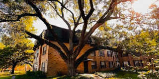 Treemont Senior Living Gallery 11