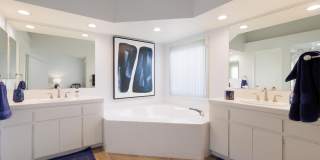 156 Falls Court Gallery 17