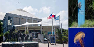 (C321) 1004 Carolina Beach Ave S, Unit B4, Carolina Beach, NC 28428 Gallery 36