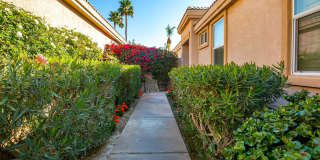 29170 W Laguna Drive Gallery 5