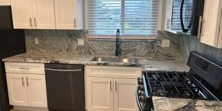 4799 Stoddard Drive Gallery 6