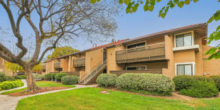 Citrus Place Gallery 53