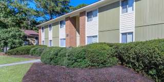 Ridgewood Gallery 18