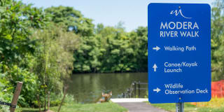 Modera Medford Gallery 37