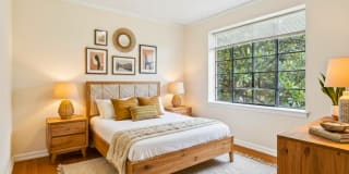 Cameron Court & Shelton Gallery 17