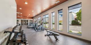 The Fitzroy Gallery 31