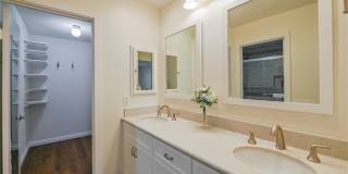 15 Camphor S Gallery 7