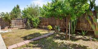 230 Steven Bridges Gallery 31