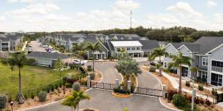 Palm Grove Gallery 38