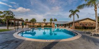 Sea Oats Sea Oats Gallery 42