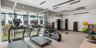 Cru at Willows Gallery 4