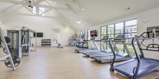 The Collins Luxury Apartments Gallery 21