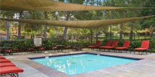 86 Cipresso Gallery 30