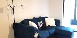 165 White Fawn Dr Gallery 4