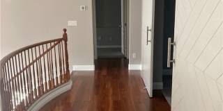 7020 Albatross Attic Street Gallery 20