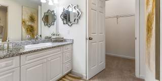 Palmetto Creek Gallery 9