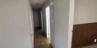 1840 Costigan Drive Gallery 8
