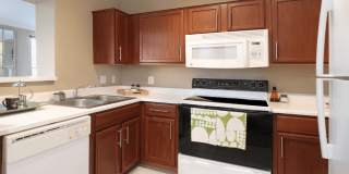 The Biltmore Gallery 30