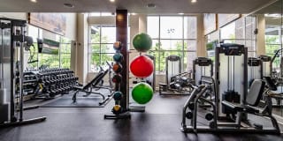 AMLI Riverfront Park Gallery 15