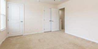 473 Panorama View Loop Gallery 9