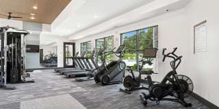 Ascend at Carlton Gallery 10