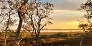 28 Alcira Court - 1 Gallery 13