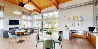 Palo Verde Gallery 1