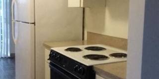 Linden Apartments Gallery 8