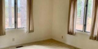 95 Lost Tree Road Gallery 11