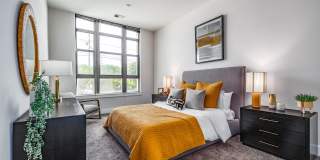 Maven at Wheaton Gallery 25