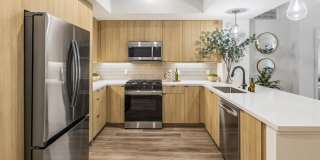 Intro Burbank Gallery 1