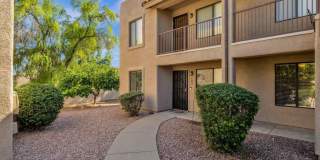13636 N SAGUARO Boulevard Gallery 9