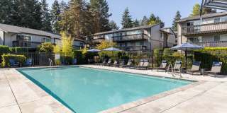 Alder Bellevue Gallery 1