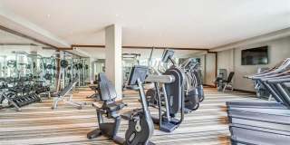 Alder Apartments Gallery 9