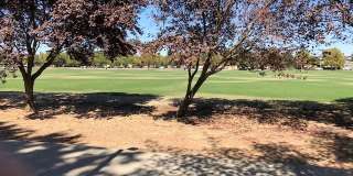Updated 2 bedroom 1 bath condo in a quiet park like setting with a community pool Gallery 16