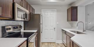 Carrara at Cole Gallery 2