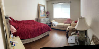 11019 Legacy Lane Gallery 6