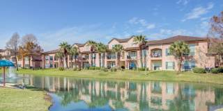 Las Palmas Gallery 2