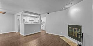 Woodbine Gallery 23