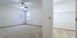 5950 N Petunia Terrace Gallery 45