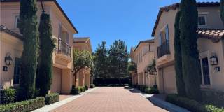 80 Cipresso Gallery 29