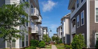 Cambria at Cornerstone Apartments Gallery 98