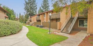 Citrus Place Gallery 54