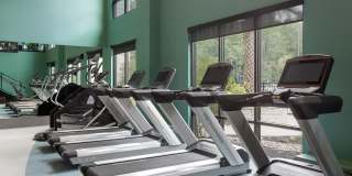 Vera Luxury Living Gallery 17