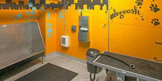 Tanner Flats Gallery 23