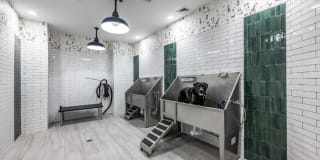 Halstead Countryside Gallery 10