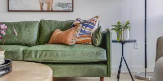 Terra Vista Gallery 10